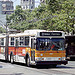 1998-07 San Francisco Trolleybus Nr.7017